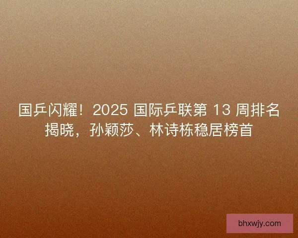 国乒闪耀！2025 国际乒联第 13 周排名揭晓，孙颖莎、林诗栋稳居榜首