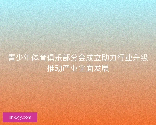 青少年体育俱乐部分会成立助力行业升级推动产业全面发展